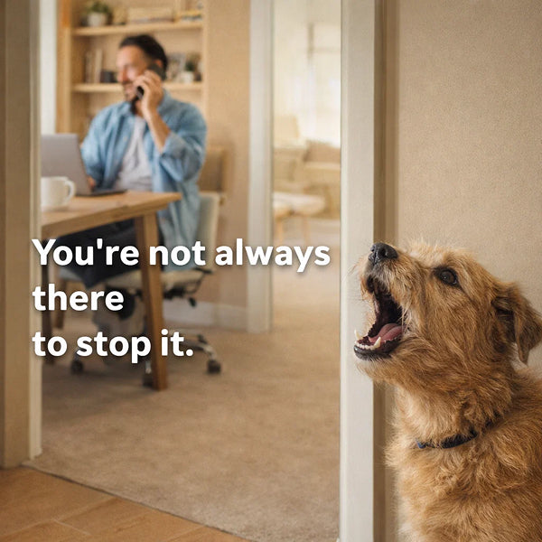 Hands-Free Automatic Bark Control | Ultrasonic Wall-Mounted Deterrent for Day and Night Use