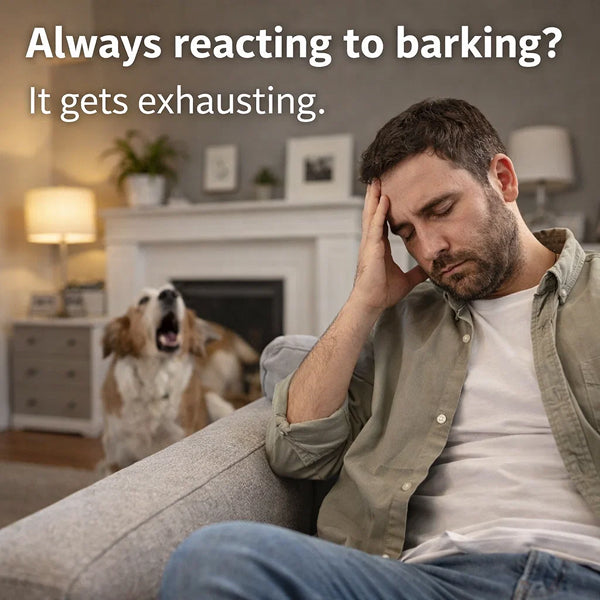 Hands-Free Automatic Bark Control | Ultrasonic Wall-Mounted Deterrent for Day and Night Use