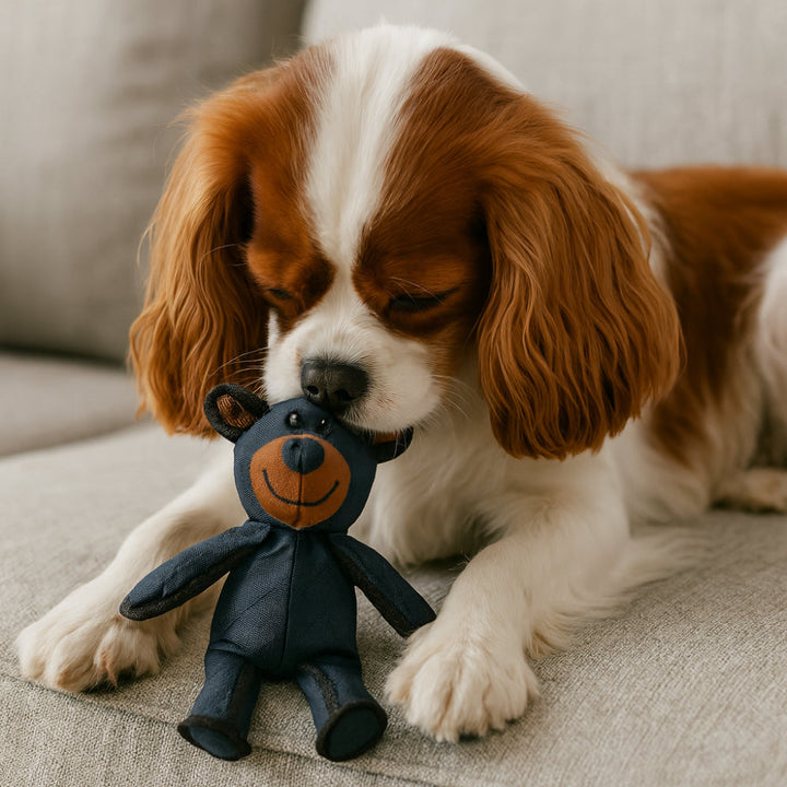 Dog Chew Toy Plush Bear Shape | Triple-Layered Chew-Resistant Fabric | Supports Dental Health and Gum Care During Play 2