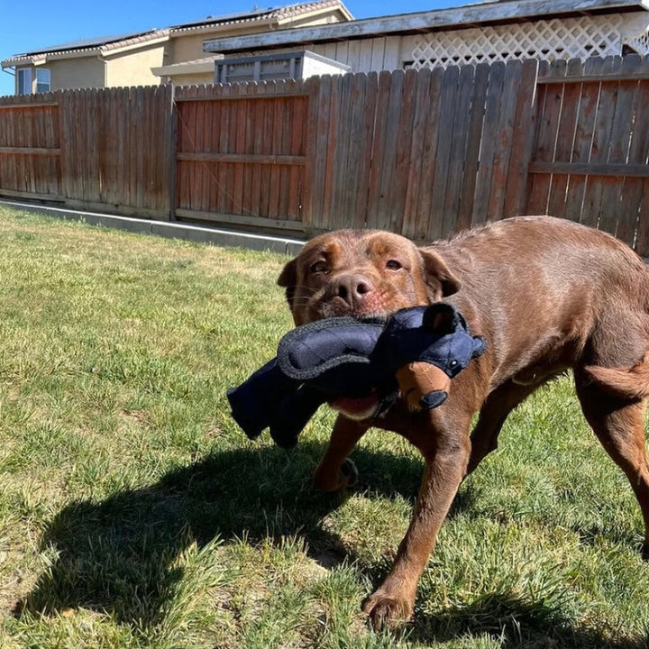 Dog Chew Toy Plush Bear Shape | Triple-Layered Chew-Resistant Fabric | Supports Dental Health and Gum Care During Play 3