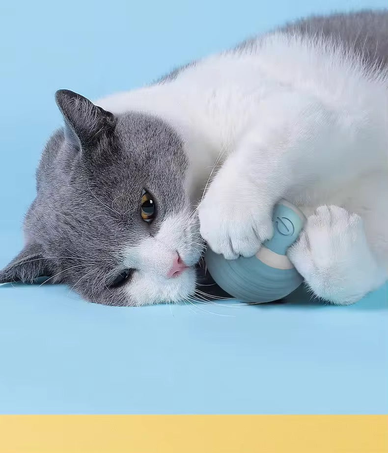 Interactive Cat Ball Toy Automatic Random Movement Vibration