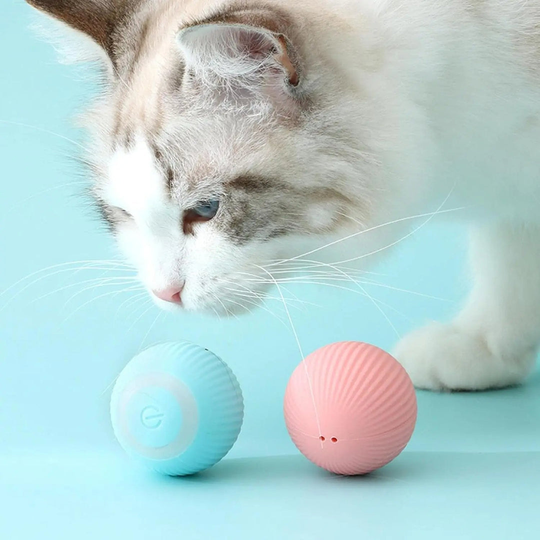 Interactive Cat Ball Toy Automatic Random Movement Vibration