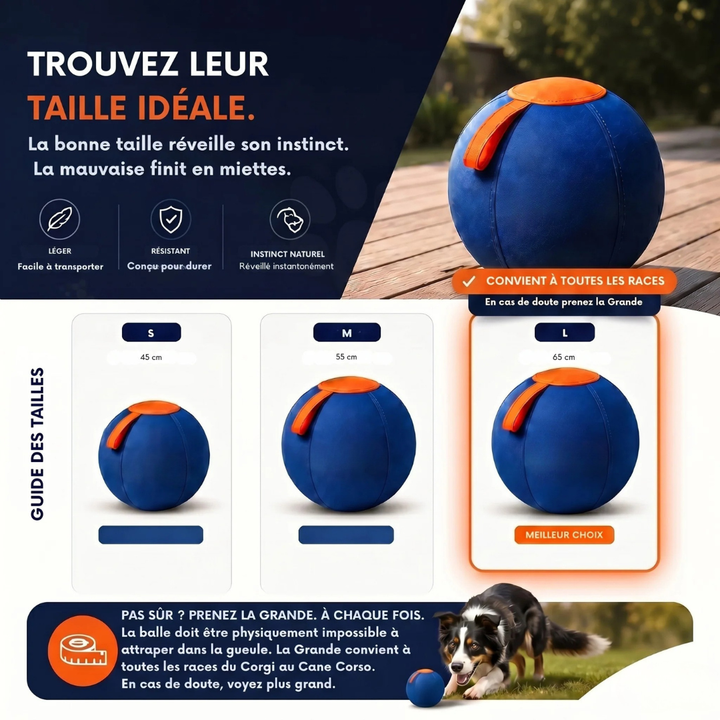 Interactive Dog Ball | Textured, Chew-Resistant Design for Active Play | Supports Daily Exercise and Reduces Boredom