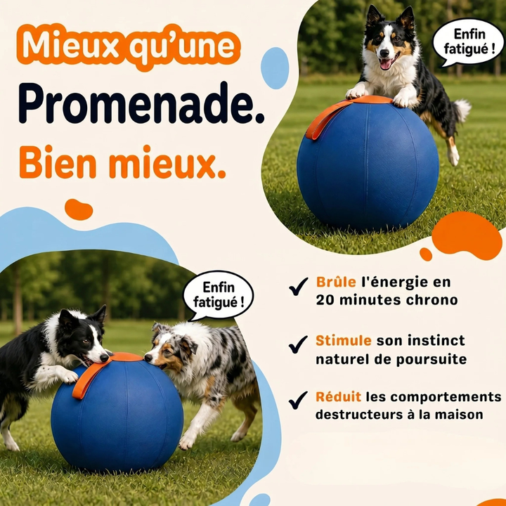 Interactive Dog Ball | Textured, Chew-Resistant Design for Active Play | Supports Daily Exercise and Reduces Boredom
