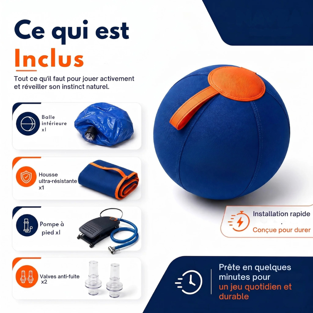 Interactive Dog Ball | Textured, Chew-Resistant Design for Active Play | Supports Daily Exercise and Reduces Boredom