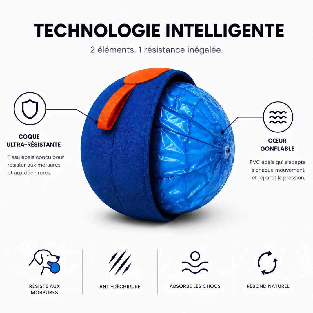 Interactive Dog Ball | Textured, Chew-Resistant Design for Active Play | Supports Daily Exercise and Reduces Boredom