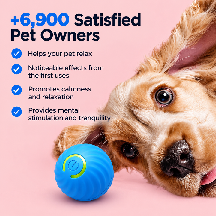 Interactive Dog Ball | Unpredictable Rolling Motion Keeps Dogs Mentally Engaged | Eases Boredom, Stress and Anxiety at Home