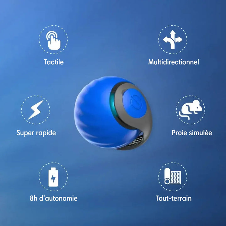 Interactive Motion Ball Pet Toy | Random-Moving Fabric Tail Mimics Prey | Rechargeable USB Battery, Silent Motor