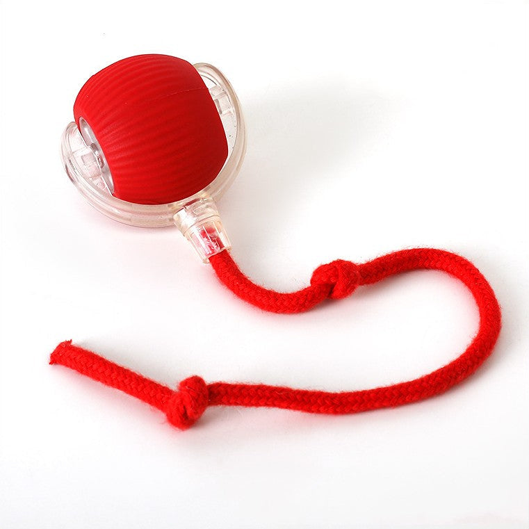 Interactive Tug Ball Dog Toy | Textured Rope Tail for Chewing & Fetch | Supports Dental Health, Suitable for All Sizes