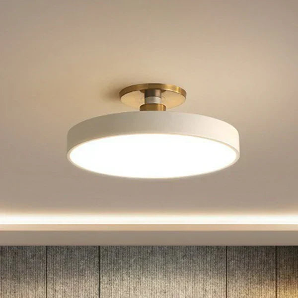 LED Ceiling Lamp Round Modern Flush Mount with Dual Colour Temperature