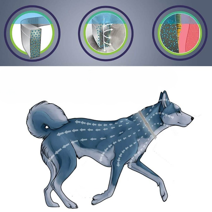 Natural Flea &amp; Tick Collar for Dogs &amp; Cats | Waterproof &amp; Chemical-Free
