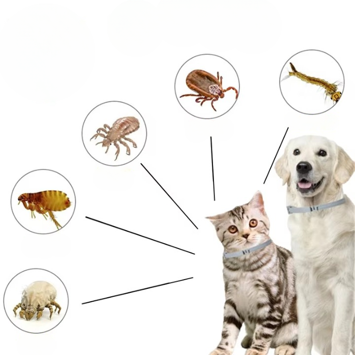 Natural Flea &amp; Tick Collar for Dogs &amp; Cats | Waterproof &amp; Chemical-Free