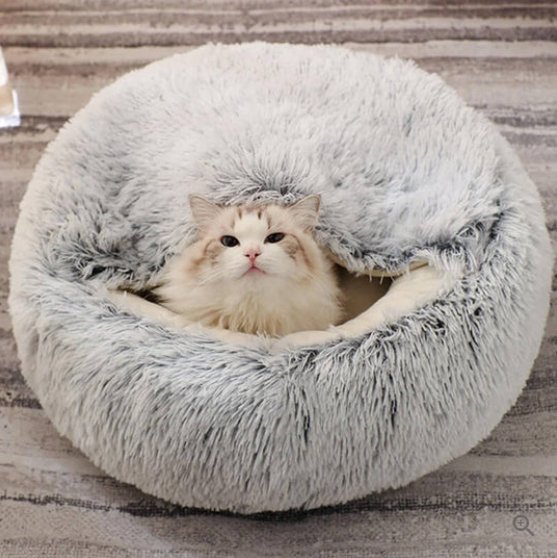 Nest Pet Bed | Hooded Cave Top, Raised Rim, Flat Cushion