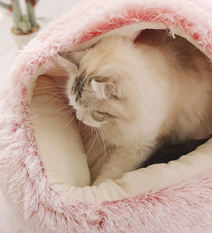 Nest Pet Bed | Hooded Cave Top, Raised Rim, Flat Cushion