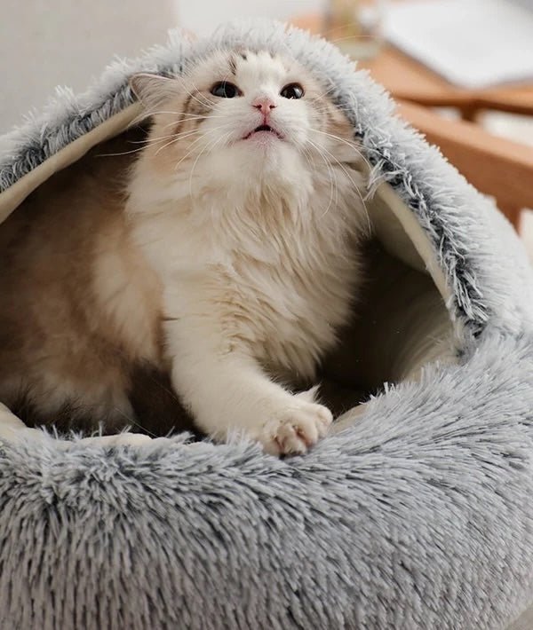 Nest Pet Bed | Hooded Cave Top, Raised Rim, Flat Cushion