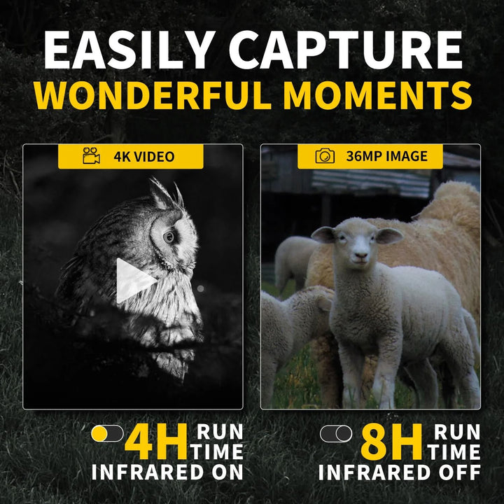 Night Vision Infrared Binocular | 4K Video, 36MP Photos, 6x Zoom | 300m Range, 7-Level IR, 3.0 Inch IPS Display
