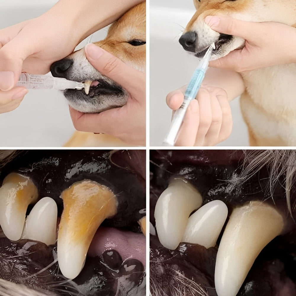 Plant-Based Pet Teeth Cleaning Liquid Mint Aloe Vera Enzyme