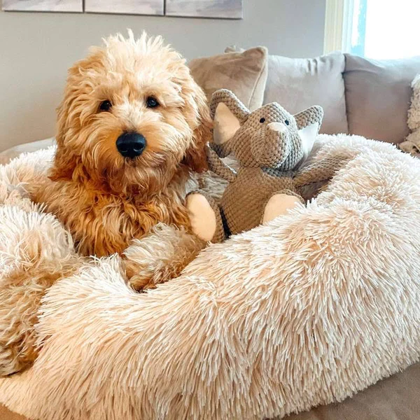 Plush Dog Bed Raised Edges Nest-Style Donut with Orthopedic Support