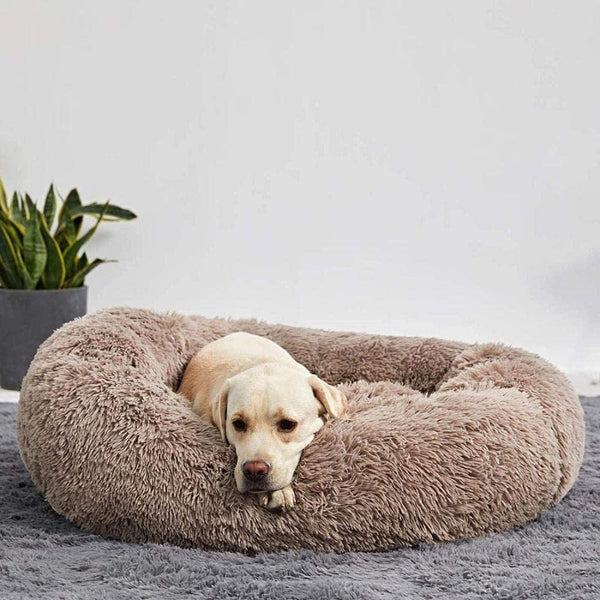 Plush Dog Bed Raised Edges Nest-Style Donut with Orthopedic Support