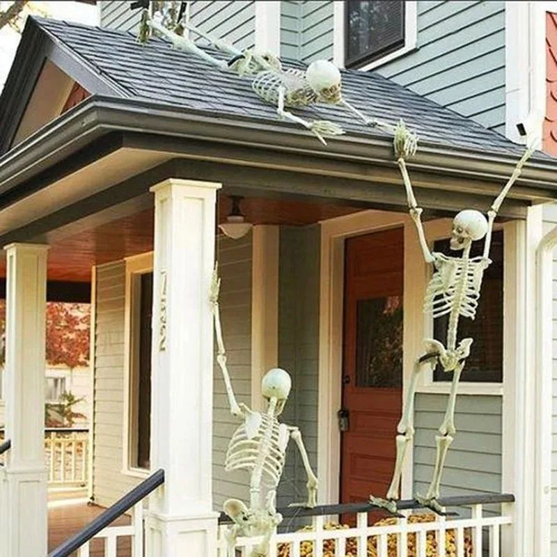 Posable Skeleton Halloween Prop | Full-Body Jointed Bones | Lightweight Plastic for Indoor &amp; Outdoor Halloween Use