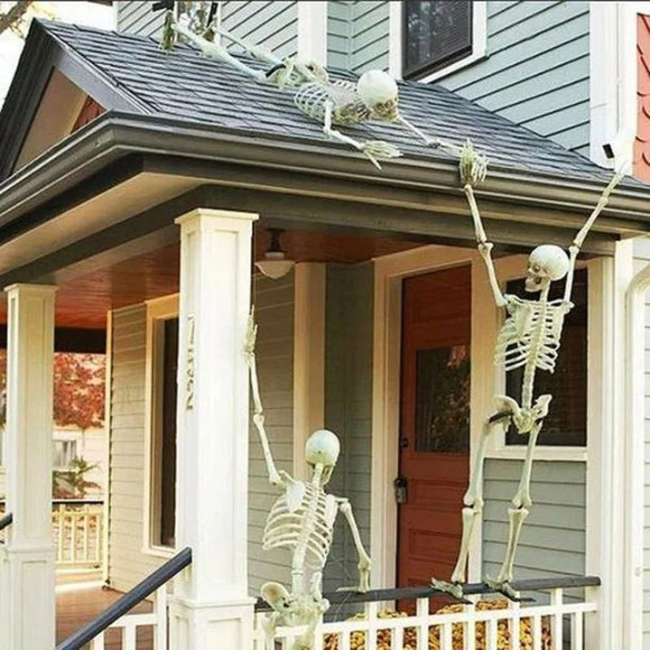 Posable Skeleton Halloween Prop | Full-Body Jointed Bones | Lightweight Plastic for Indoor &amp; Outdoor Halloween Use