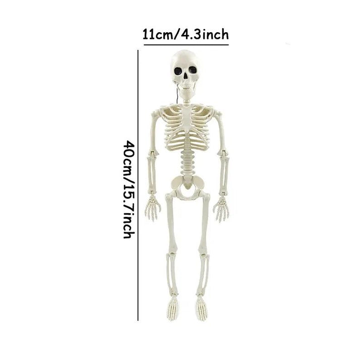 Posable Skeleton Halloween Prop | Full-Body Jointed Bones | Lightweight Plastic for Indoor &amp; Outdoor Halloween Use