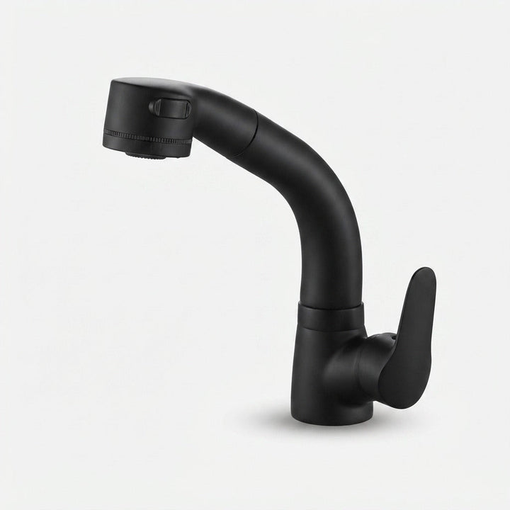 Pull-Out Faucet Single Lever Mixer Brass with Extendable Spray Head