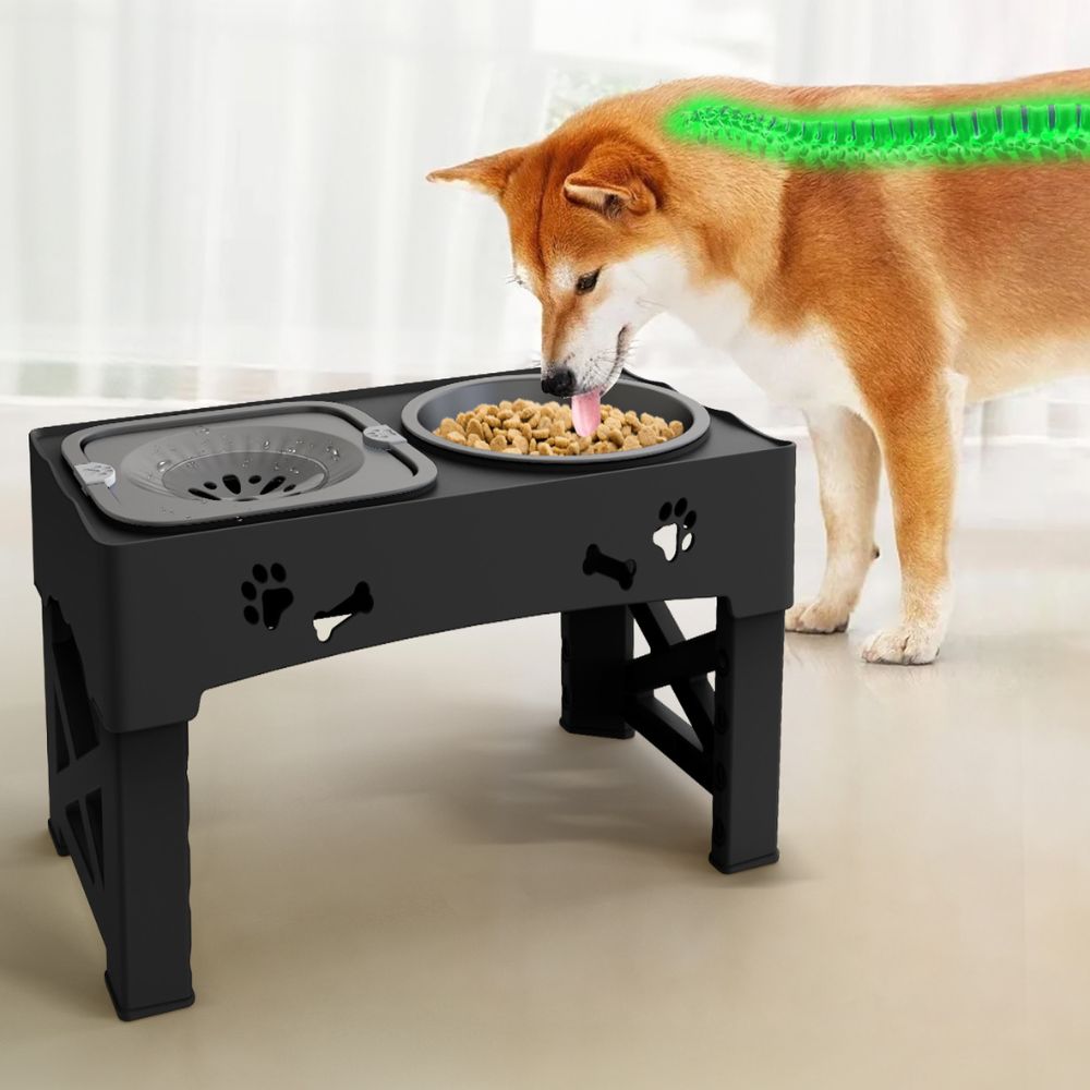 Raised Dog Feeder ABS &amp; Stainless Steel | 5-Level Adjustable Slow Feed Bowl | Non-Slip Base, Prevents Bloating &amp; Choking