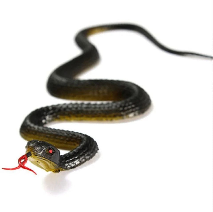Realistic Rubber Toy Snake Halloween Decoration | Flexible Anaconda Prop with Tongue Detail | Garden Bird Deterrent