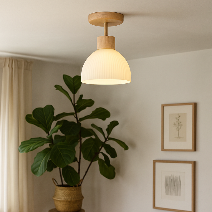 Scandinavian Frosted Glass Ceiling Lamp LED Surface Mounted