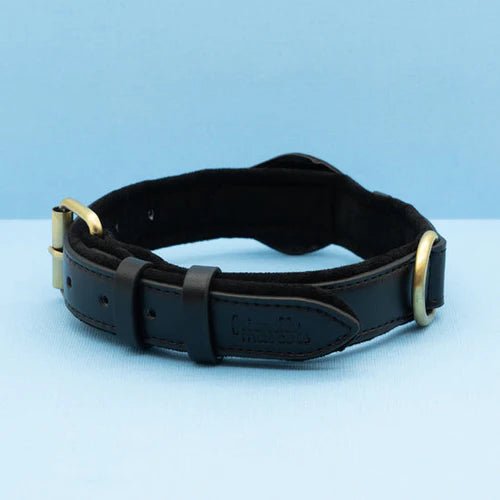 Smart Tracker Dog Collar | Tracker Holder Case, Adjustable Buckle Strap