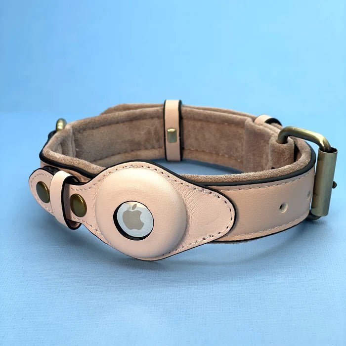 Smart Tracker Dog Collar | Tracker Holder Case, Adjustable Buckle Strap