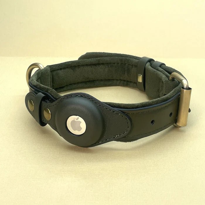 Smart Tracker Dog Collar | Tracker Holder Case, Adjustable Buckle Strap