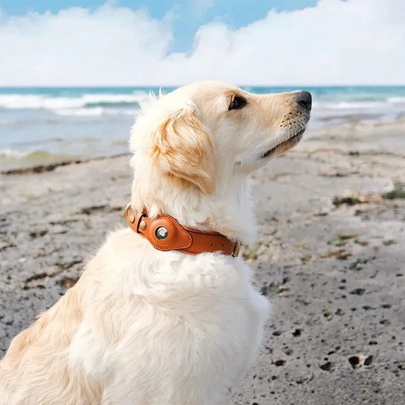 Smart Tracker Dog Collar | Tracker Holder Case, Adjustable Buckle Strap