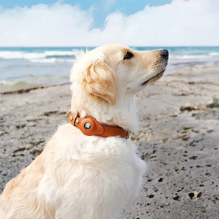 Smart Tracker Dog Collar | Tracker Holder Case, Adjustable Buckle Strap