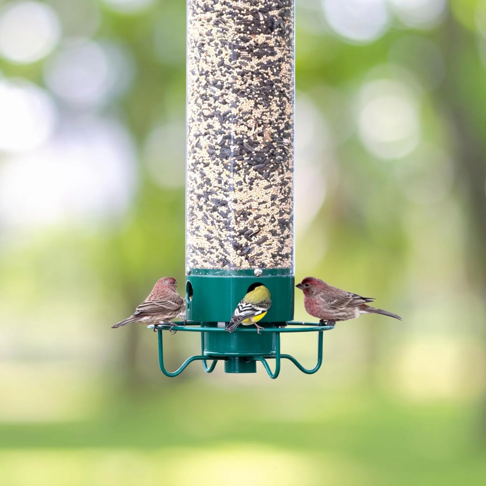 Squirrel Proof Bird Feeder Metal | 4-Port Rotating Perch with Large Seed Reservoir | Weather-Resistant Hanging Design