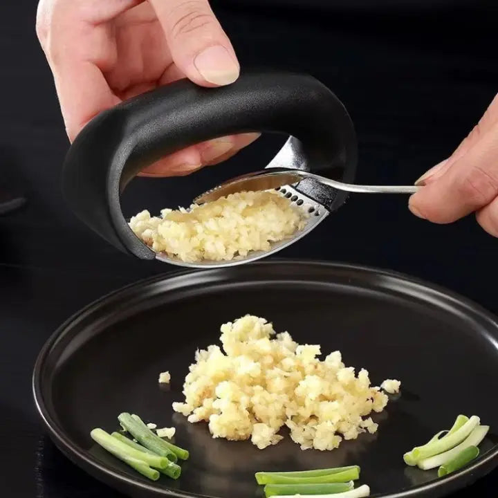 Stainless Steel Garlic Press Compact Curved Rocking with ABS Handle