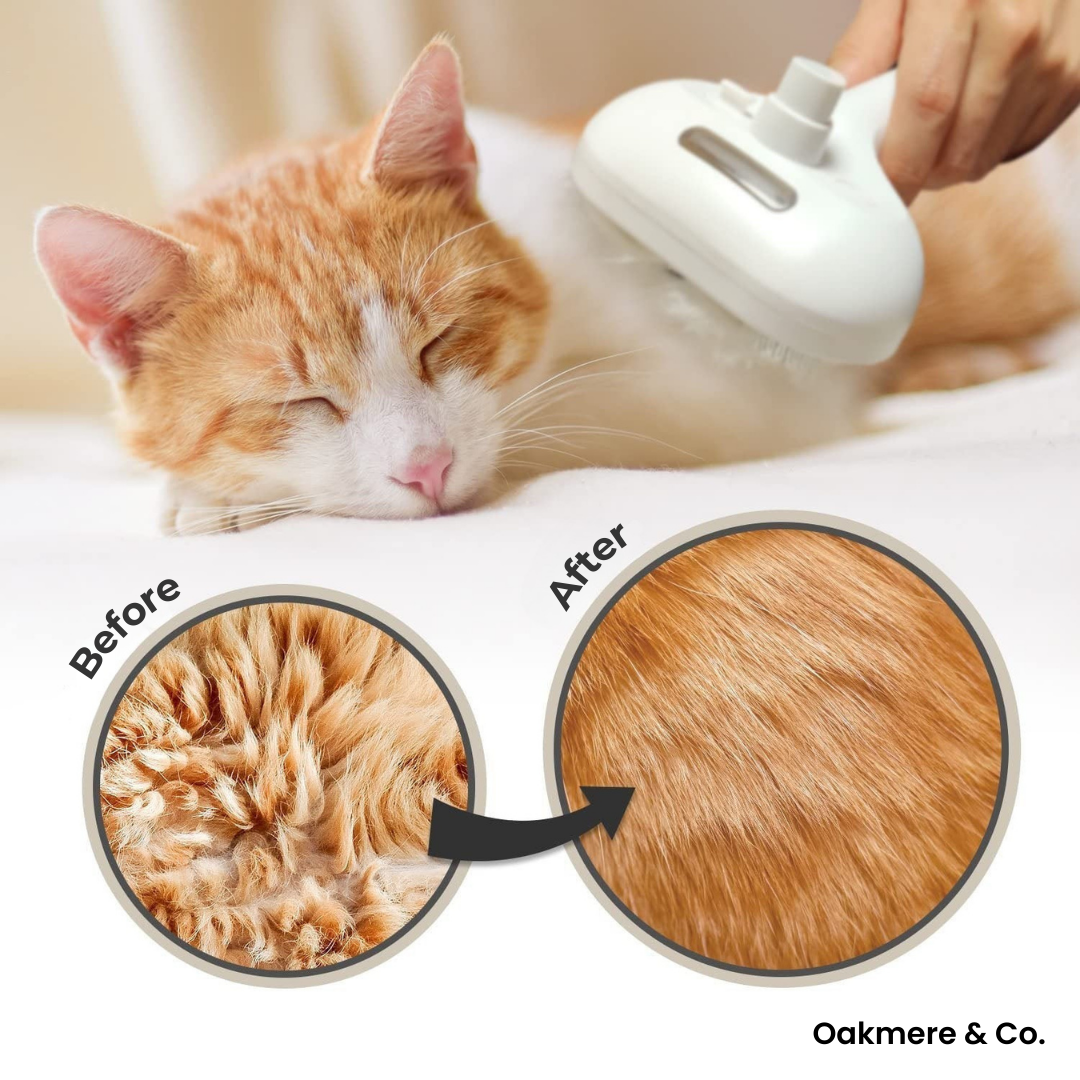 Steam Pet Grooming Brush | Suitable for Short, Long, Curly & Thick Coats | Ultra-Quiet, Reduces Shedding by up to 95%