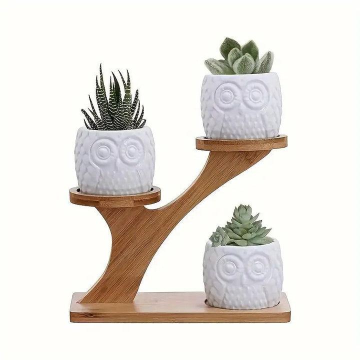 Two-Tier Plant Stand Bamboo Freestanding Indoor with Recessed Platforms